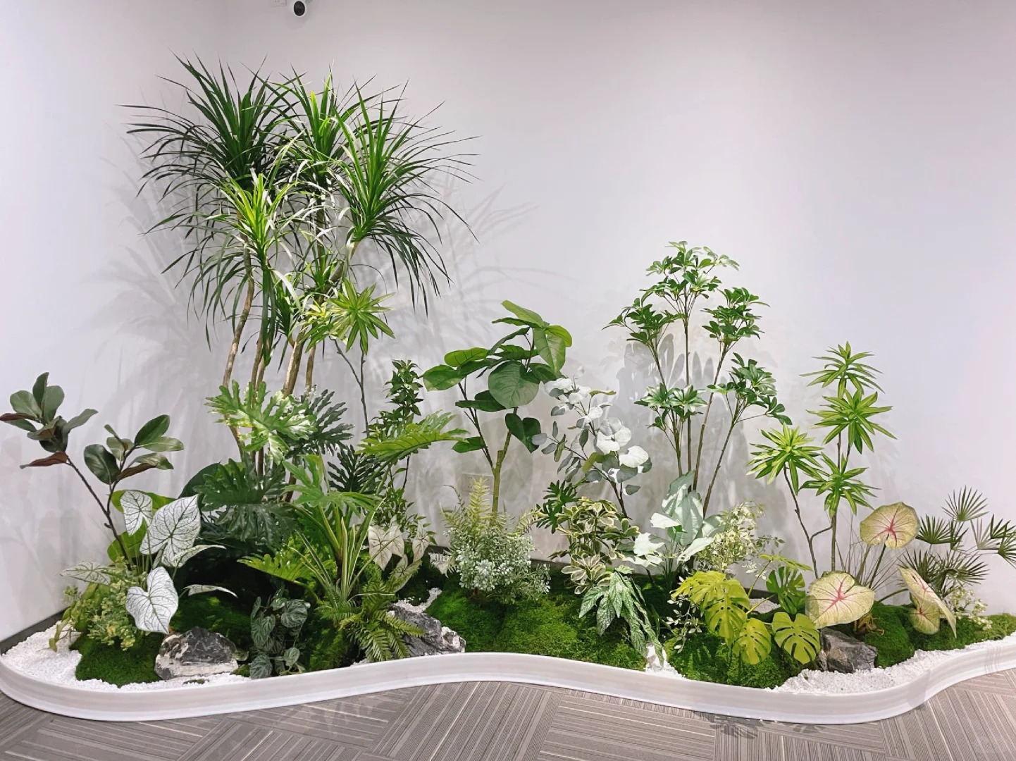 揭秘江北盆景租摆价格，你了解多少？