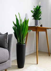 奉化绿化养护哪家好