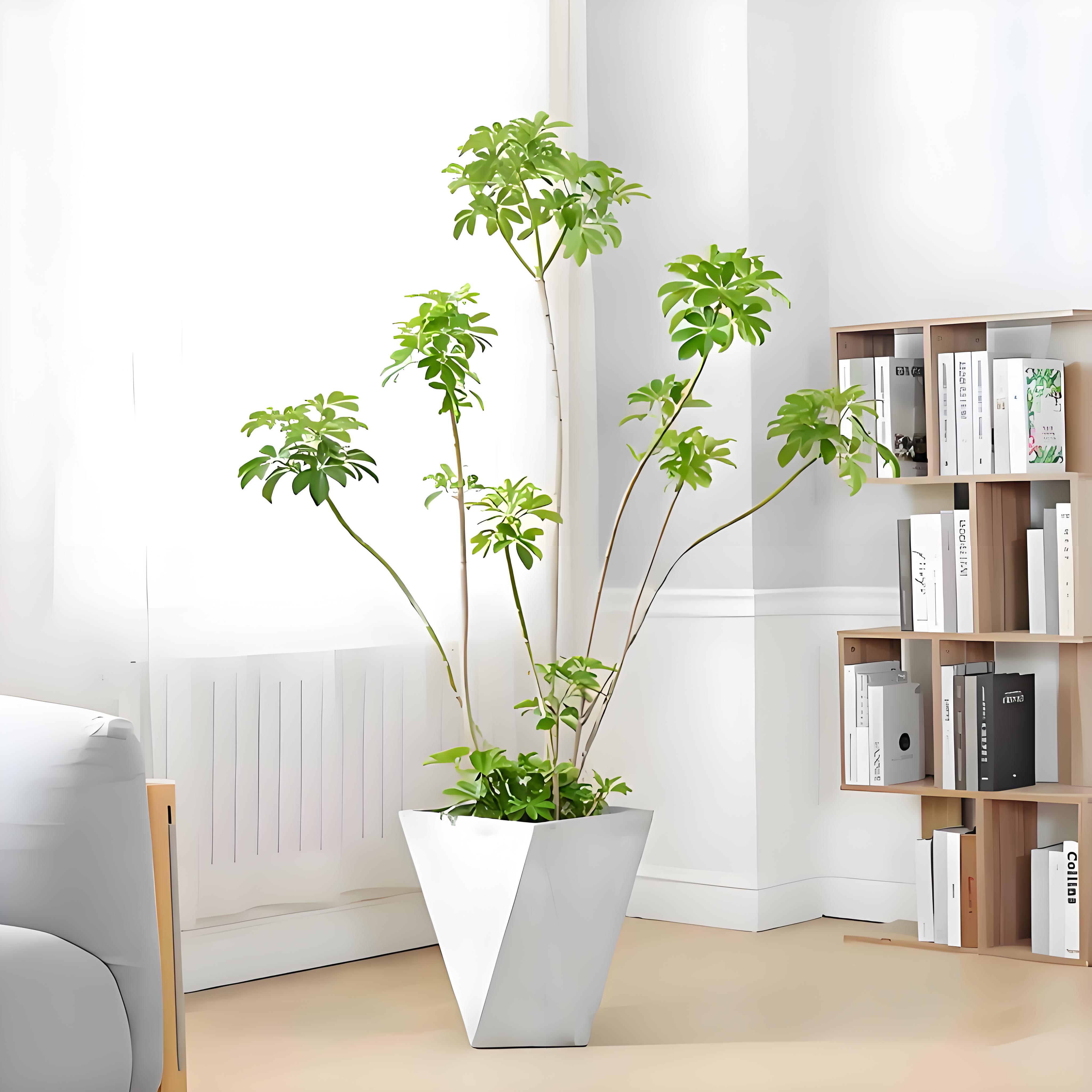 宁波镇海绿化修剪